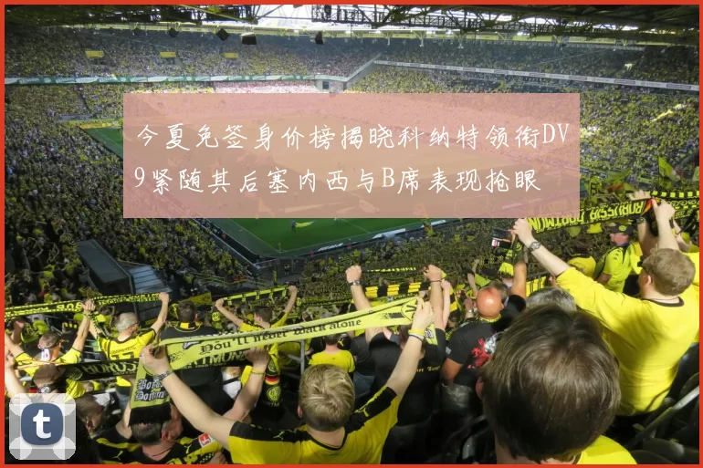 今夏免签身价榜揭晓科纳特领衔DV9紧随其后塞内西与B席表现抢眼
